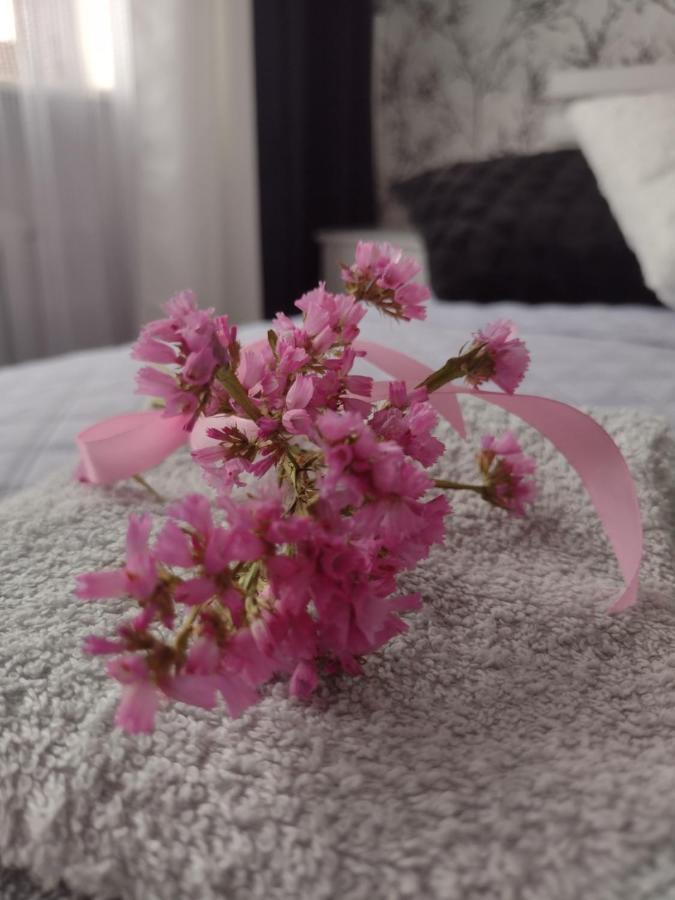Apartament Nad Jeziorakiem Илава Экстерьер фото